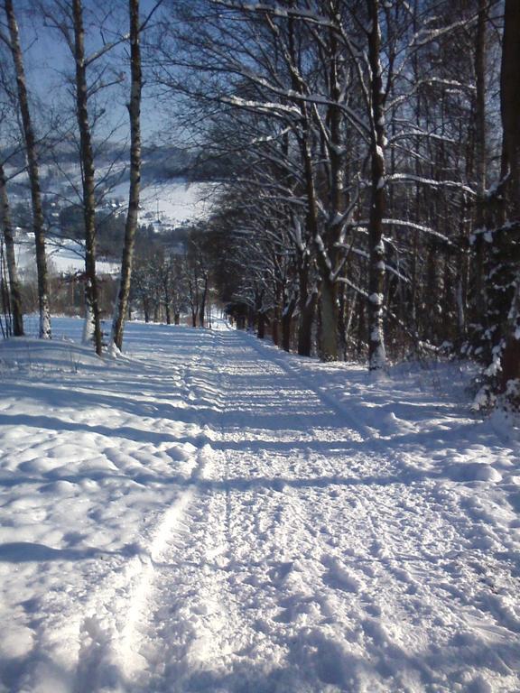 Privat Pohoda Paseky nad Jizerou Buitenkant foto