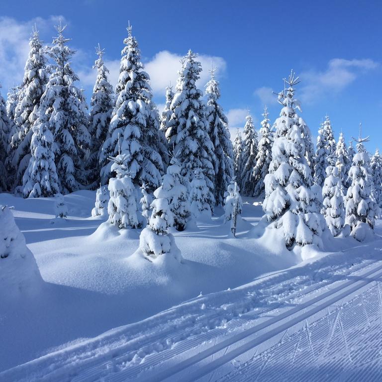 Privat Pohoda Paseky nad Jizerou Buitenkant foto