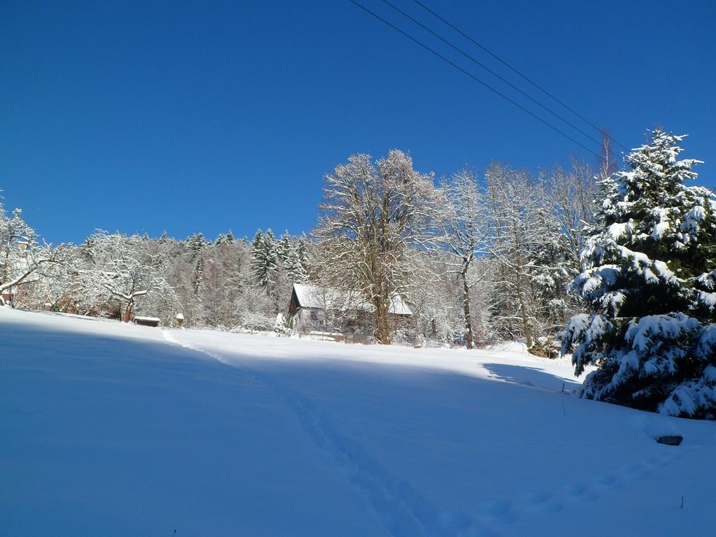 Privat Pohoda Paseky nad Jizerou Buitenkant foto