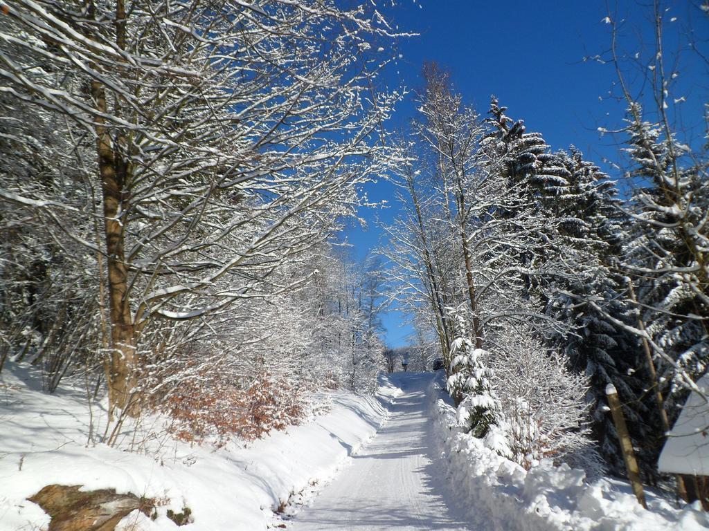 Privat Pohoda Paseky nad Jizerou Buitenkant foto